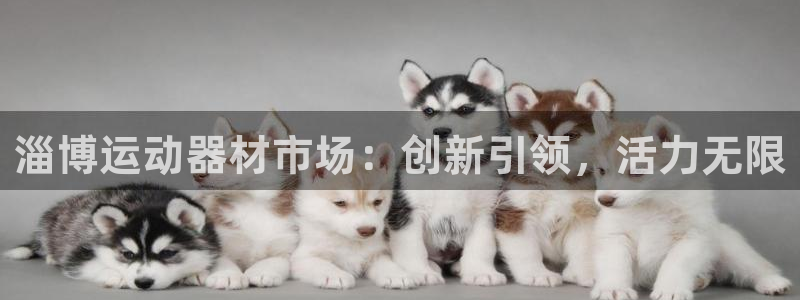 意昂体育4：淄博运动器材市场：创新引领，活力无限