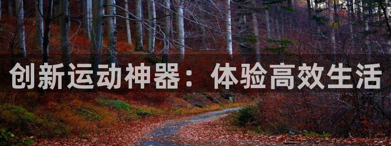 意昂体育4平台：创新运动神器：体验高效生活