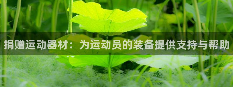 意昂4五金厂：捐赠运动器材：为运动员的装备提供支持与