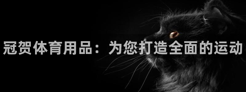 意昂4科技:冠贺体育用品:为您打造全面的运动