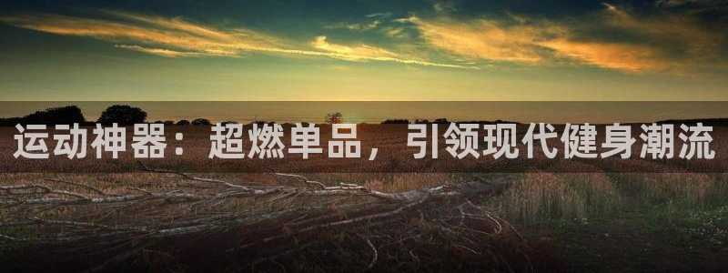 意昂4娱乐网站：运动神器：超燃单品，引领现代健身潮流