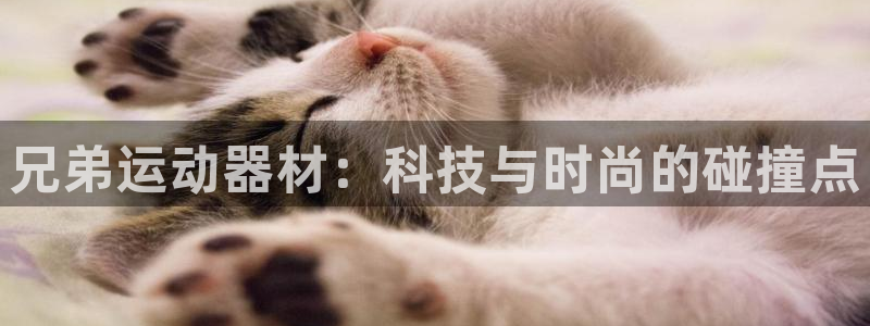 意昂体育4招商电话是多少号码：兄弟运动器材：科技与时