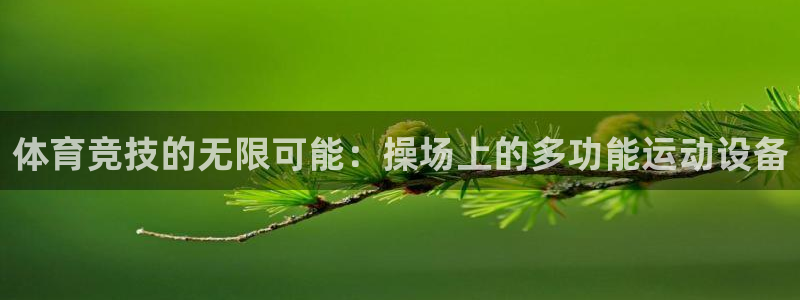 意昂4五金厂：体育竞技的无限可能：操场上的多功能运动