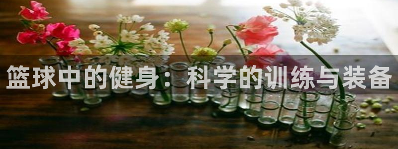 意昂4娱乐代理怎么样：篮球中的健身：科学的训练与装备
