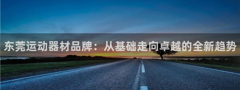 意昂4神州:东莞运动器材品牌:从基础走向卓越的全新趋势