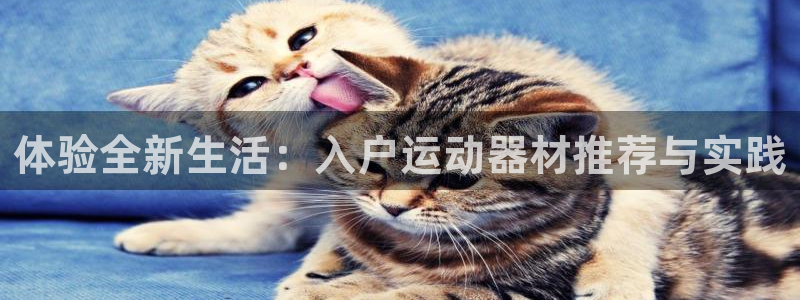 海南意昂体育4发展怎么样：体验全新生活：入户运动器材