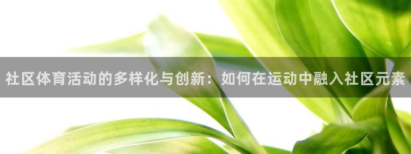 意昂体育4招商电话：社区体育活动的多样化与创新：如何