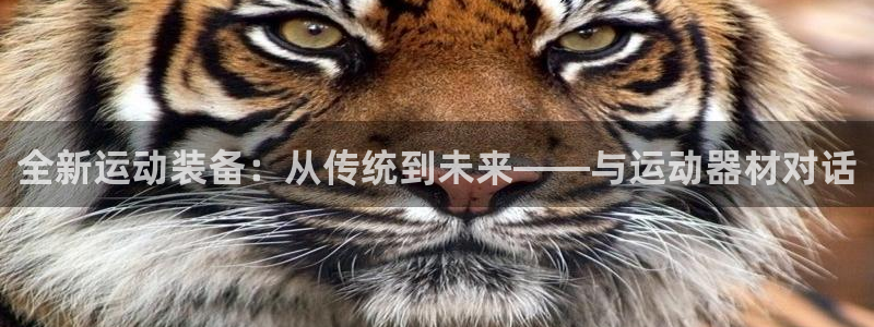 意昂体育4平台注册流程图