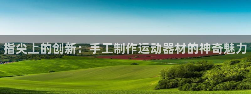 意昂体育4平台注册要钱吗是真的吗:指尖上的创新:手工制作运动