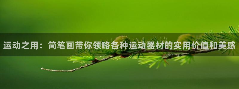 海南意昂体育4发展怎么样：运动之用：简笔画带你领略各种运动器